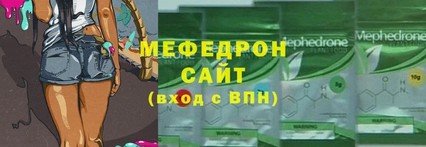 индика Вяземский