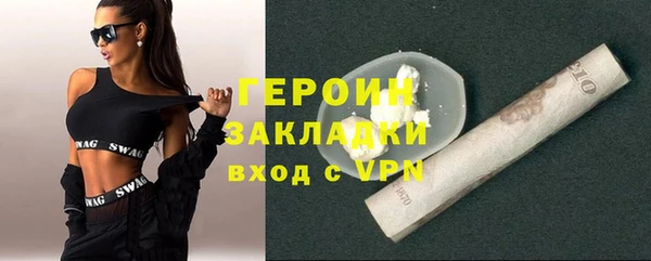 индика Вяземский