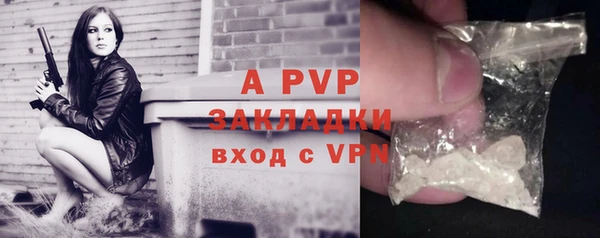 индика Вяземский