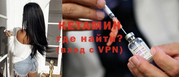 индика Вяземский