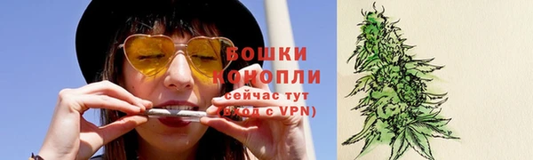 индика Вяземский