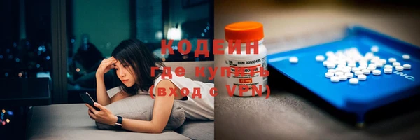 индика Вяземский