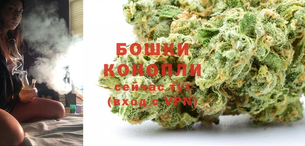 индика Вяземский