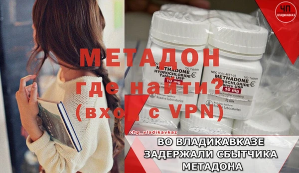 индика Вяземский
