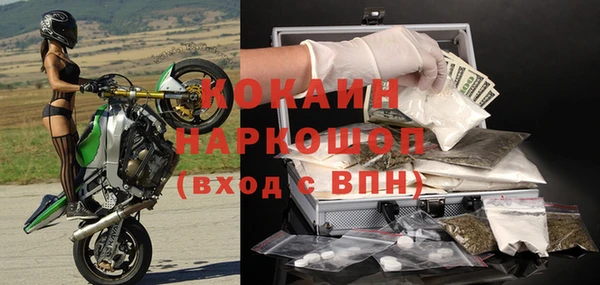 индика Вяземский