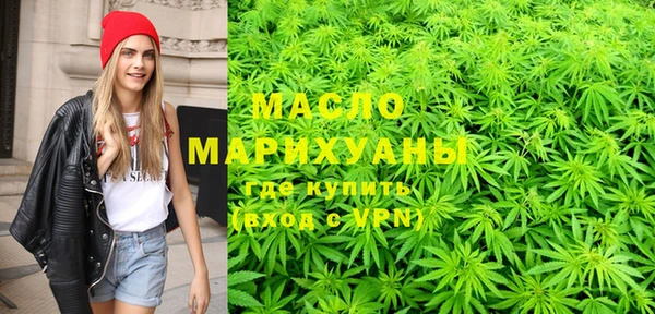 индика Вяземский