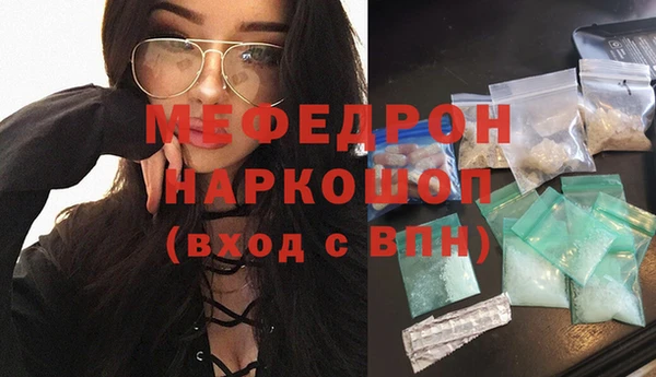 индика Вяземский
