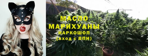 индика Вяземский
