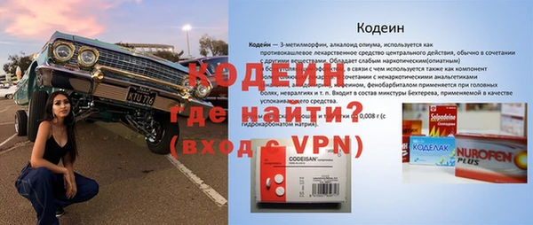 индика Вяземский