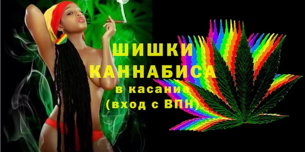 индика Вяземский