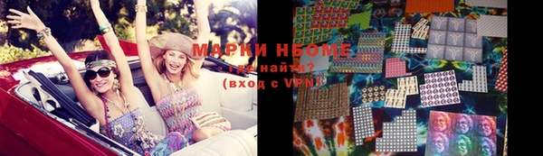 индика Вяземский