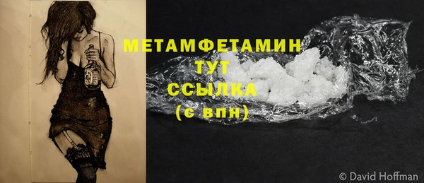 индика Вяземский