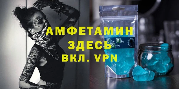 индика Вяземский