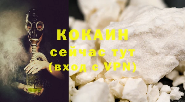 индика Вяземский