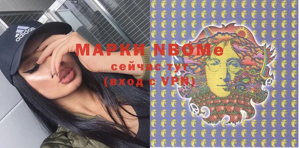 индика Вяземский