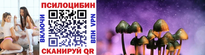 купить   Красноперекопск  Псилоцибиновые грибы GOLDEN TEACHER 